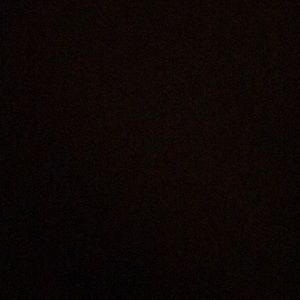 Meet your Posher, Austen